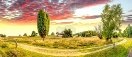 Téléchargez les photos : Lueneburg Heide, Landscape, Germany - en image libre de droit