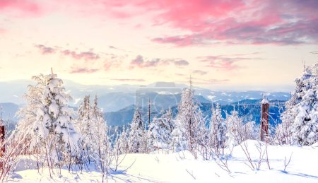 Foto de Winter landscape, Sauerland, Germany - Imagen libre de derechos