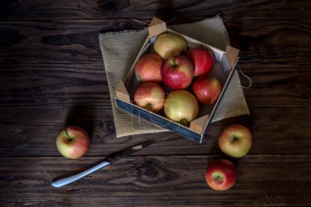 Photo for Ripe, big, sweet apples with red sides and a knife on a wooden table close-up - Royalty Free Image