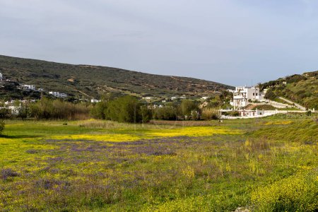Téléchargez les photos : Paysage. Printemps, un pré fleuri dans une région montagneuse et le village au loin (île Skyros, Grèce) - en image libre de droit