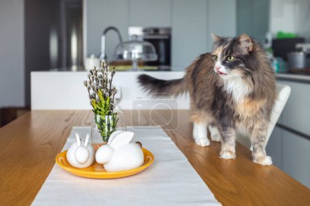 Foto de El gato está de pie sobre la mesa delante de un plato de conejos de Pascua. - Imagen libre de derechos