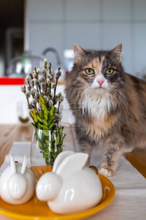 Foto de El gato está de pie sobre la mesa delante de un plato de conejos de Pascua - Imagen libre de derechos