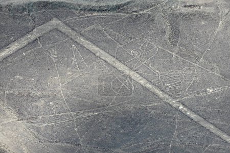 Photo for Nazca lines. Nazca geoglyphs. Whale geoglyph on the Nazca Plateau. Peru - Royalty Free Image
