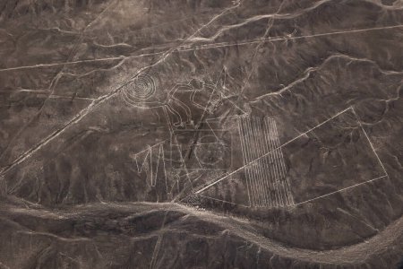 Photo for Nazca lines. Nazca geoglyphs . Monkey  geoglyph on the Nazca Plateau. Peru - Royalty Free Image