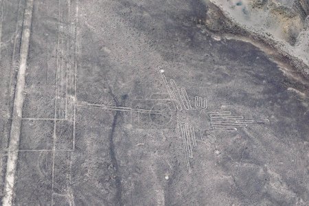Photo for Aerial view of Condor geoglyph, Nazca Line ,peruvian desert of Nazca, Peru - Royalty Free Image