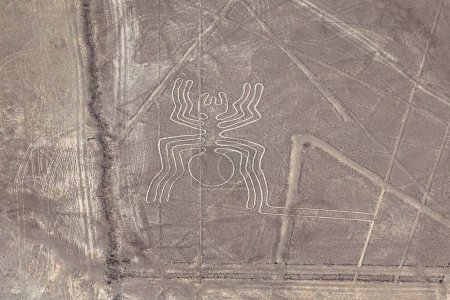 Photo for Spider geoglyph, Nazca mysterious lines and geoglyphs. Peru - Royalty Free Image
