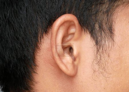 Foto de Primer plano de la característica del oído - Imagen libre de derechos