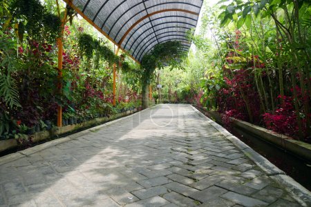 Camino de pavimentación respetuoso con el medio ambiente con plantas sanas a su alrededor - Ecopavimentación respetuosa con el medio ambiente
