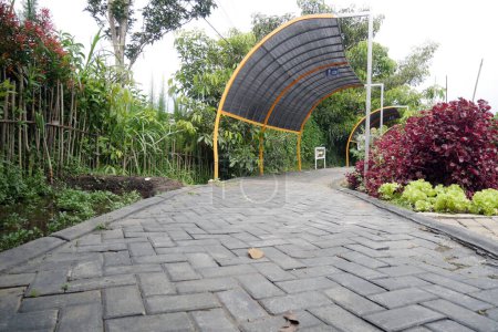 Environmentally friendly paving path with healthy plants around it - Environmentally friendly eco-paving