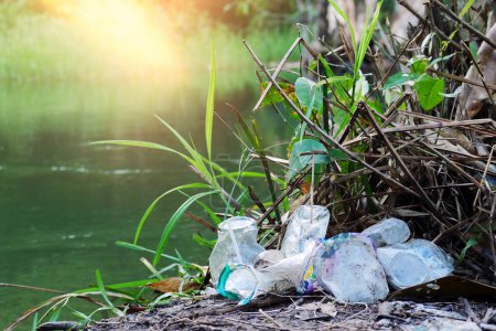 Téléchargez les photos : Les déchets de boissons plastiques sont jetés sur la rive de la rivière, les déchets plastiques dans la forêt. Concept d'écologie, propreté de l'environnement, environnement sale. - en image libre de droit