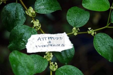 Téléchargez les photos : Attitude is everything - slogan motivationnel Typographie inspirée Citation sur papier déchiré - en image libre de droit