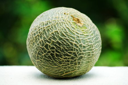 Foto de Primer plano de fruta fresca de melón sobre una mesa blanca con fondo de jardín - Imagen libre de derechos