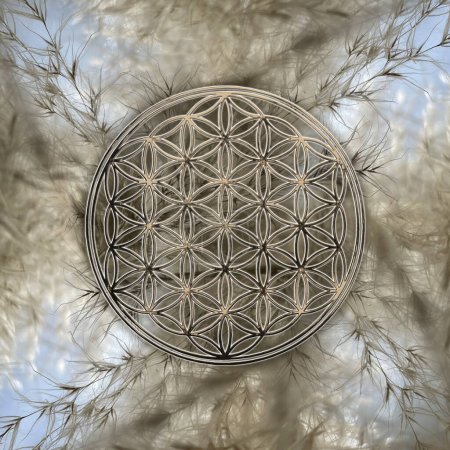 Photo for Golden Flower Of Life on beautiful autumn grass background - Royalty Free Image