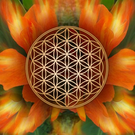 Photo for Flower Of Life on Canna Flowers Background - Royalty Free Image