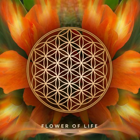Photo for Flower Of Life on Canna Flowers Background - Royalty Free Image