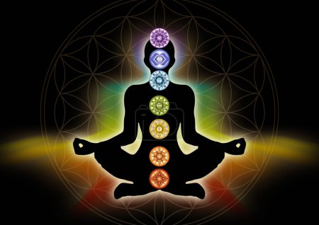 Photo for 7 Chakra symbols and Flower of Life. Human energy body, aura, yoga lotus pose. Powerful decor for meditation and chakra energy healing. Perfect for kinesiology practitioners, massage therapists, reiki healers, yoga studios or your meditation space. - Royalty Free Image