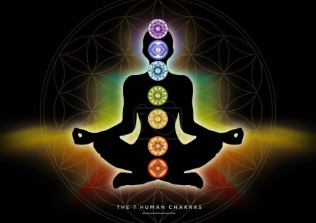 Photo for 7 Chakra symbols and Flower of Life. Human energy body, aura, yoga lotus pose. Powerful decor for meditation and chakra energy healing. Perfect for kinesiology practitioners, massage therapists, reiki healers, yoga studios or your meditation space. - Royalty Free Image