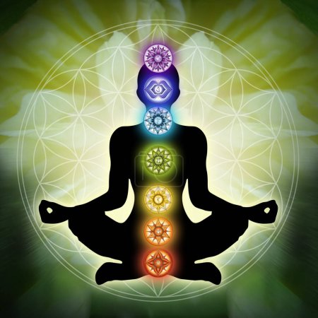 Foto de La silueta humana en yoga / loto posan con 7 Chakras Símbolos y Flor de la Vida. (Cuerpo de energía humana, aura, pose de loto de yoga). Decoración de apoyo para la meditación y la curación de la energía del chakra. - Imagen libre de derechos
