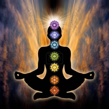 Menschliche Silhouette im Yoga, Lotusstellung mit 7 Chakren und Blume des Lebens. Menschlicher Energiekörper, Aura. Unterstützungsplakat für Meditation und Chakra-Energieheilung.