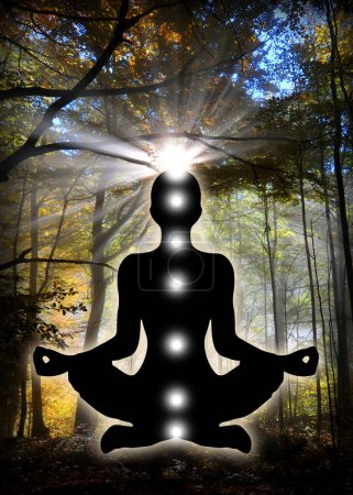 Photo for Human silhouette in yoga, lotus pose on beautiful Austrian alpine forest background. Peaceful poster for meditation and chakra energy healing. - Royalty Free Image