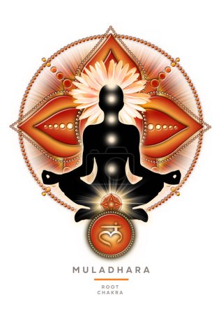 La meditación del chakra raíz en la postura del loto del yoga, delante del símbolo del chakra del muladhara y de la flor floreciente del jardín de la gazania. Cartel pacífico para la meditación y la curación de la energía del chakra.