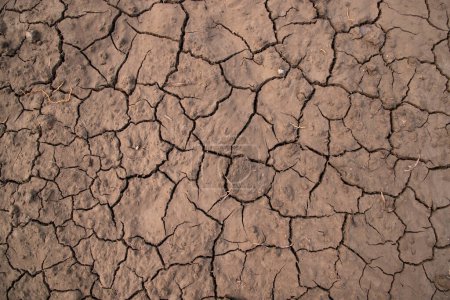 Foto de Fondo de tierra agrietado en seco, calentamiento global, concepto de cambio climático - Imagen libre de derechos