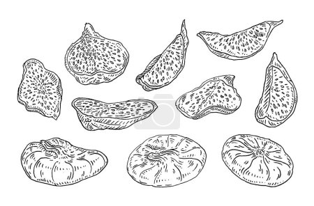 Illustration for Whole and slice dry fig. Vector black vintage engraving illustration. Isolated on white background. Hand drawn design element for label - Royalty Free Image