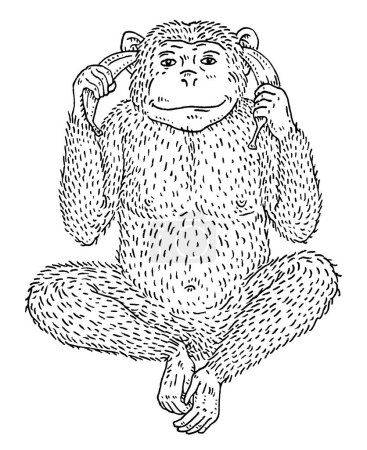 Ilustración de Los monos se clavaron plátanos en las orejas. Vintage vector negro grabado ilustración para cartel, tela, camiseta, tatuaje. Aislado sobre fondo blanco - Imagen libre de derechos