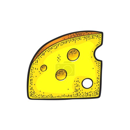 Téléchargez les illustrations : Pieces of cheese. Vector color vintage engraving illustration isolated on white background. - en licence libre de droit