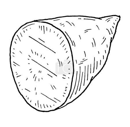Illustration for Half batatas. Vintage engraving vector black illustration. Isolated on white background. - Royalty Free Image