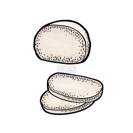 Téléchargez les illustrations : Mozzarella half and slices. Vector color vintage engraving illustration isolated on white background. - en licence libre de droit