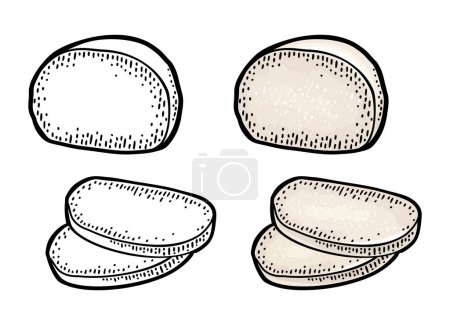 Illustration for Mozzarella half and slices. Vector color vintage engraving illustration isolated on white background. - Royalty Free Image