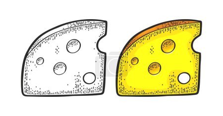 Illustration for Pieces of cheese. Vector color and black vintage engraving illustration isolated on white background. - Royalty Free Image