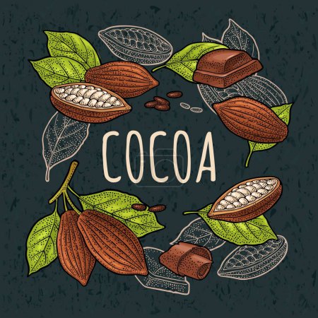 Téléchargez les illustrations : Fruits of cocoa with leaves and beans. Chocolate piece, bar and shave. Vector vintage color engraving illustration. Isolated on dark background. Hand drawn design element for square poster - en licence libre de droit