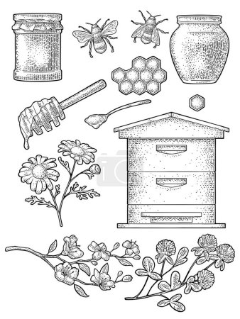 Illustration for Honey set. Jars, bee, hive, spoon, honeycomb, clover, cherry branch and honeycomb. Vector vintage black engraving illustration. Isolated on white background - Royalty Free Image