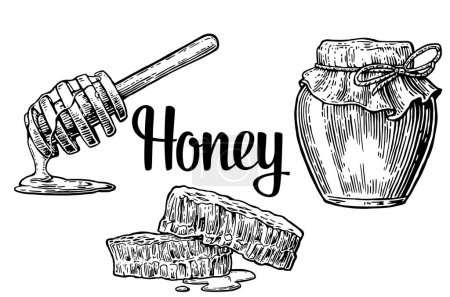 Illustration for Honey set. Jar, wooden stick and honeycomb. Hand drawn design element. Vector engraved illustration. Isolated on white background. - Royalty Free Image