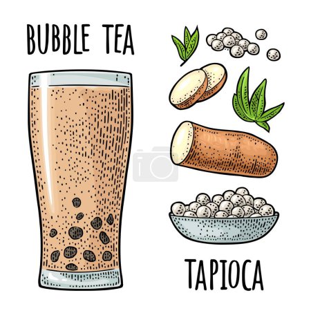 Illustration for Bubble milk tea with tapioca pearl ball in glass and ingredients. Plate with boba. Vector color vintage engraving illustration isolated on white background. Hand drawn design element for label, poster - Royalty Free Image