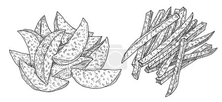 Ilustración de Fry slice potato. Vintage engraving vector black illustration. Isolated on white background. - Imagen libre de derechos