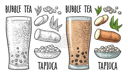 Bubble milk tea with tapioca pearl ball in glass and ingredients. Plate with boba. Vector color vintage engraving illustration isolated on white background. Hand drawn design element for label, poster