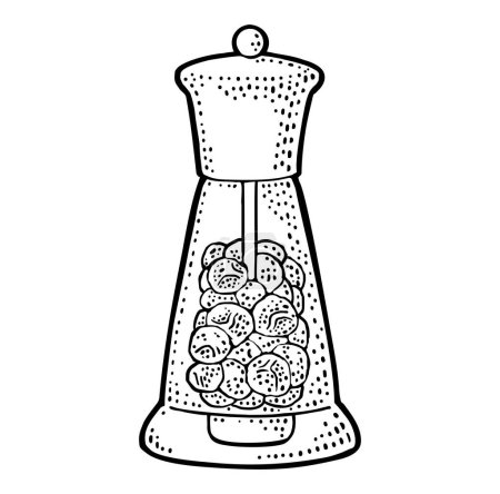 Illustration for Pepper glass shaker. Engraving vintage vector black illustration. Isolated on white background. Hand drawn design element for label and poster - Royalty Free Image