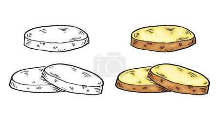 Illustration for Slice potato. Vintage engraving vector color illustration. Isolated on white background. - Royalty Free Image
