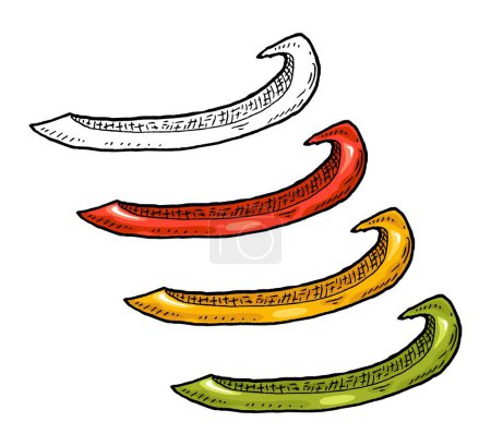 Téléchargez les illustrations : Red, green, yellow sweet bell peppers slices. Vintage vector engraving color and black illustration. Isolated on white background. Hand drawn design - en licence libre de droit