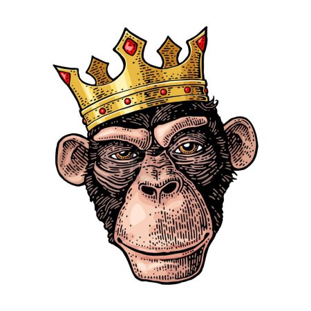 Illustration for Monkey king head with crown. Vintage color and black engraving illustration for poster. Isolated on white background. Hand drawn design element for label and poster - Royalty Free Image