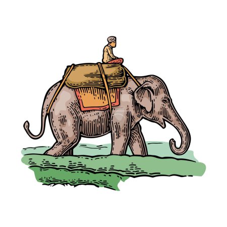 Ilustración de Jinete en elefante. Ilustración de grabado vintage de color vectorial para etiqueta y póster. Aislado sobre fondo blanco - Imagen libre de derechos