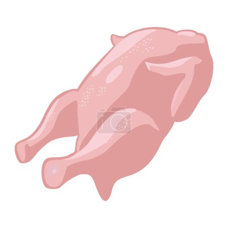 Illustration for Whole fresh raw chicken. Vector color vector illustration. Icon isolated on white background for poster, menu, brochure, web. - Royalty Free Image