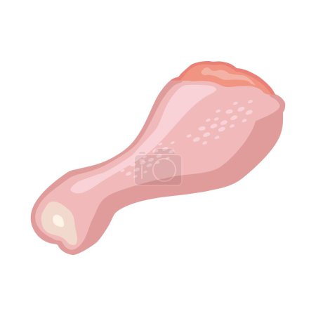 Illustration for Fresh raw chicken leg. Vector color vector illustration. Icon isolated on white background for poster, menus, brochure, web. - Royalty Free Image