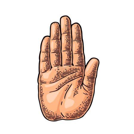 Illustration for Hand showing stop gesture. Front view. Vector color and monochrome vintage engraving illustration isolated on a white background. For web, poster, info graphic. - Royalty Free Image