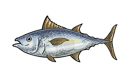 Illustration for Whole fresh fish tuna. Vintage vector engraving monochrome color - Royalty Free Image