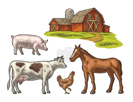 Ilustración de Granja orgánica. Vaca, cerdo, pollo y caballo en libertad. Ilustración de grabado vectorial vintage para información gráfica, póster, web. Aislado sobre blanco - Imagen libre de derechos