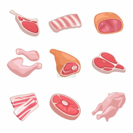 Illustration for Set meat products. Bacon slice, sausage, ribs,  different types steak, haunch, parts fresh raw chicken. Vector color vector illustration. Icon isolated on white for web menu - Royalty Free Image